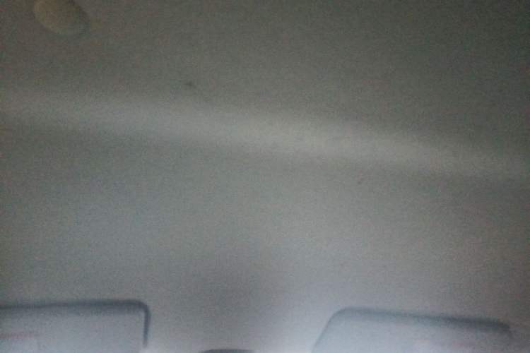 Used Suzuki Alto 2013 1.0L Automatic Luxury Model Headliner
