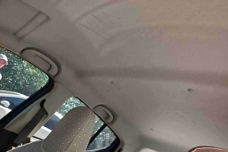 Used Suzuki Alto 2013 1.0L Manual Luxury Model Headliner