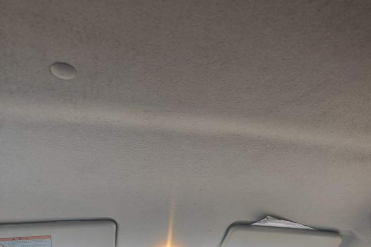 Used Suzuki Alto 2013 Revised Version 1.0L Manual Comfort Edition Headliner