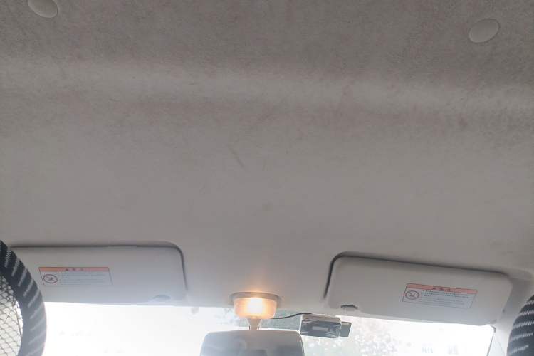Used Suzuki Alto 2013 1.0L Manual Comfort Version Headliner
