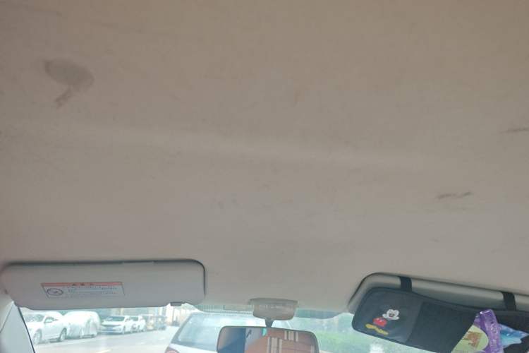 Used Suzuki Alto 2013 1.0L Manual Luxury Model Headliner