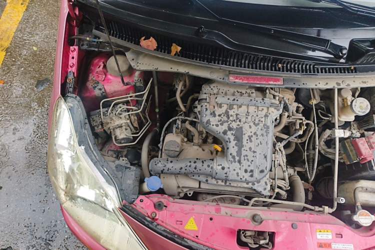 Used Suzuki Alto 2013 1.0L Manual Luxury Model Engine Bay Right