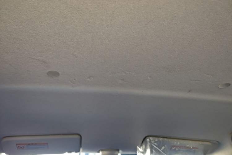Used Suzuki Alto 2013 1.0L Automatic Luxury Model Headliner
