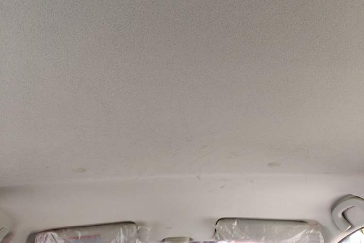 Used Suzuki Alto 2013 Revised Version 1.0L Manual Comfort Edition Headliner