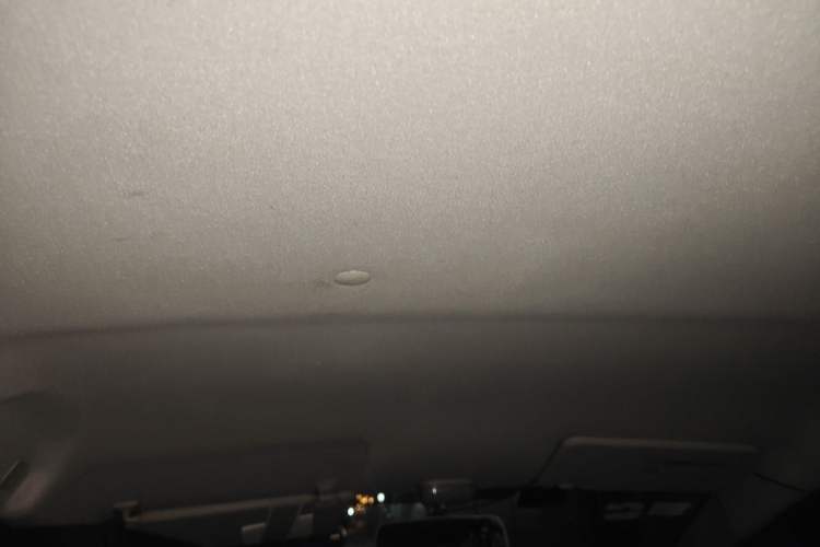 Used Suzuki Alto 2013 1.0L Manual Comfort Version Headliner