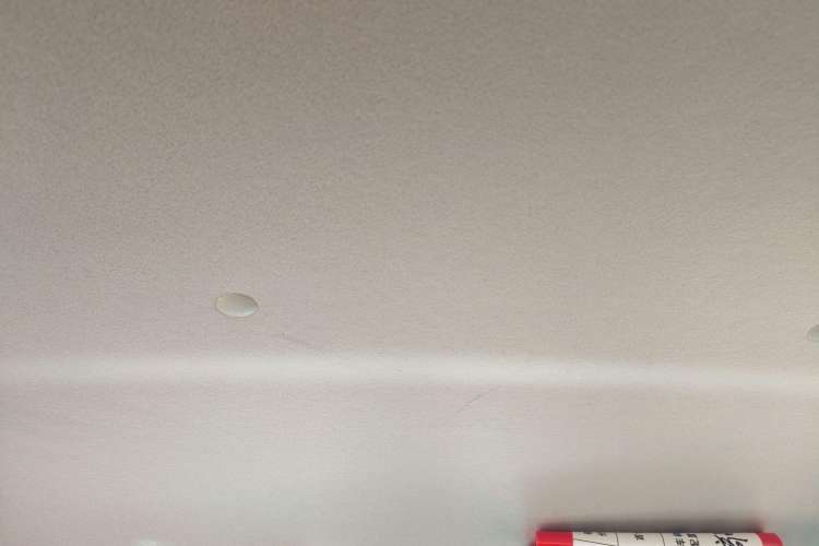 Used Suzuki Alto 2013 1.0L Automatic Luxury Model Headliner