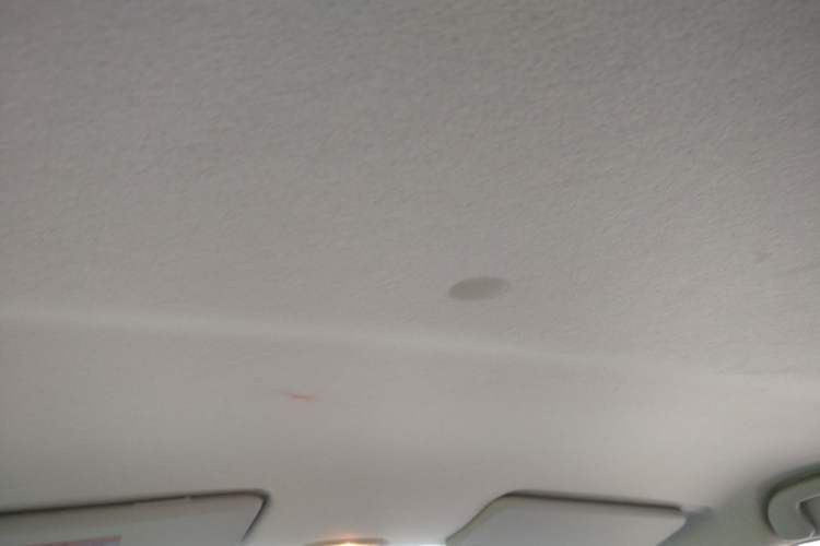 Used Suzuki Alto 2013 Revised Version 1.0L Manual Comfort Edition Headliner