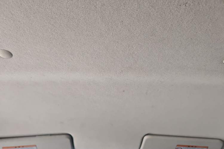 Used Suzuki Alto 2013 1.0L Manual Comfort Version Headliner