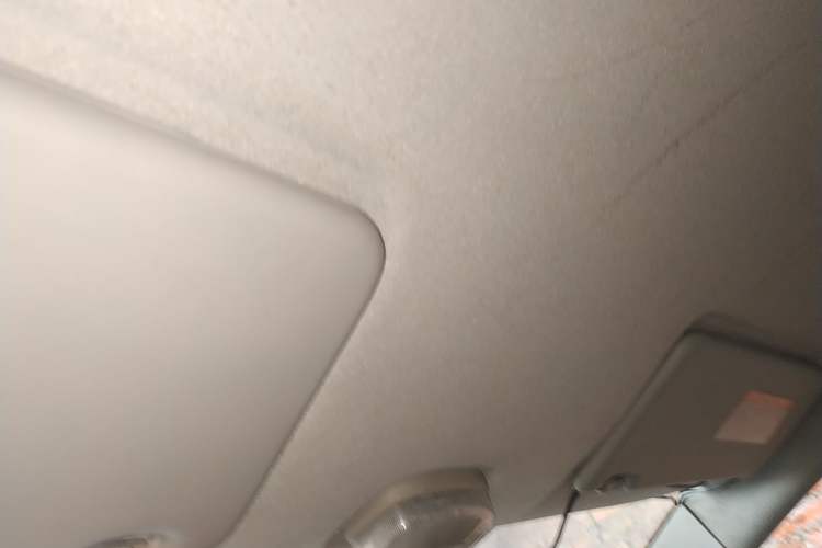 Used Suzuki Alto 2013 1.0L Automatic Luxury Model Headliner