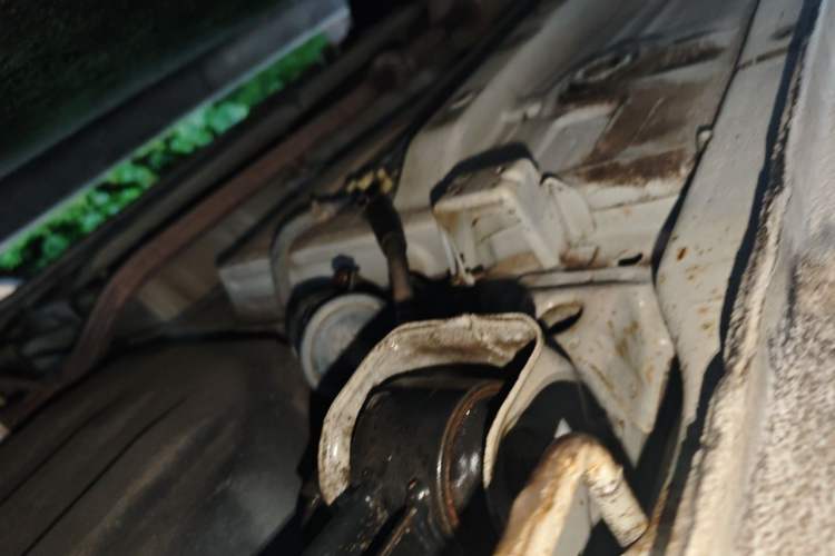Used Suzuki Alto 2013 1.0L Manual Comfort Version Chassis Rear Left