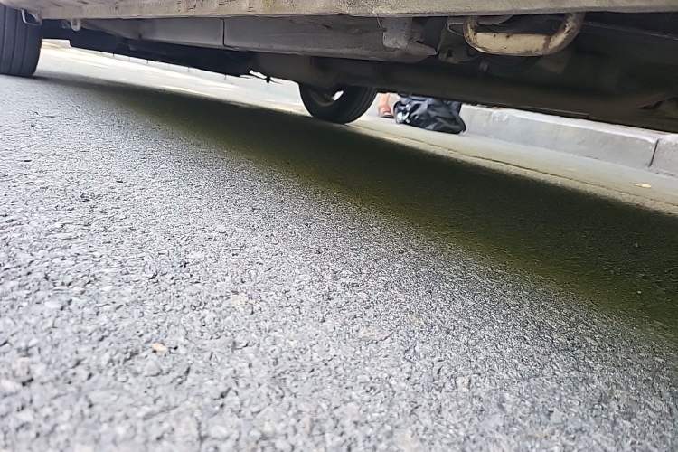 Used Suzuki Alto 2013 1.0L Automatic Luxury Model Chassis Rear Left