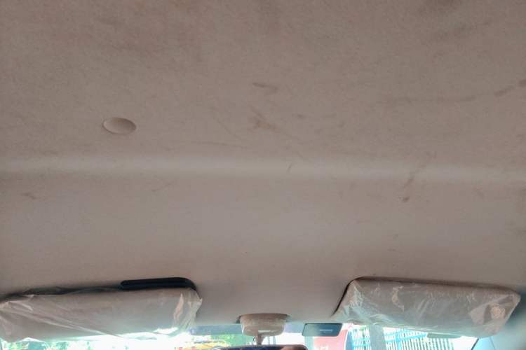 Used Suzuki Alto 2013 Revised Version 1.0L Manual Comfort Edition Headliner
