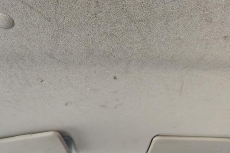 Used Suzuki Alto 2013 1.0L Manual Utility Model Headliner