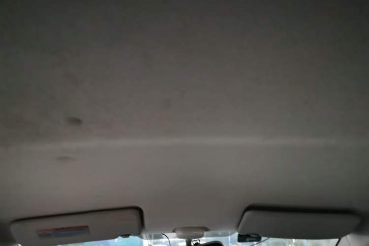 Used Suzuki Alto 2013 Revised Version 1.0L Manual Comfort Edition Headliner