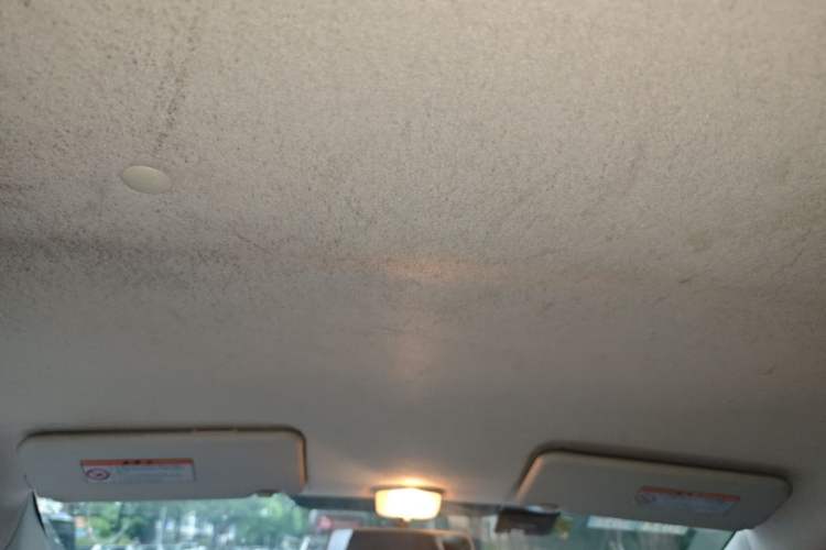 Used Suzuki Alto 2013 1.0L Manual Comfort Version Headliner
