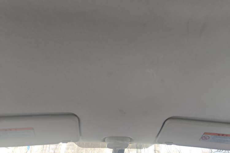 Used Suzuki Alto 2013 1.0L Manual Comfort Version Headliner