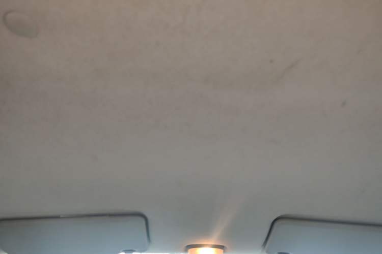 Used Suzuki Alto 2013 1.0L Manual Utility Model Headliner