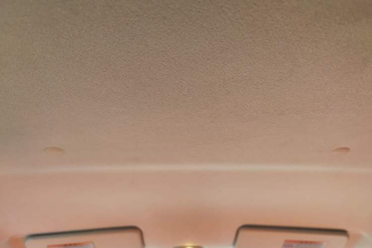 Used Suzuki Alto 2013 1.0L Automatic Luxury Model Headliner
