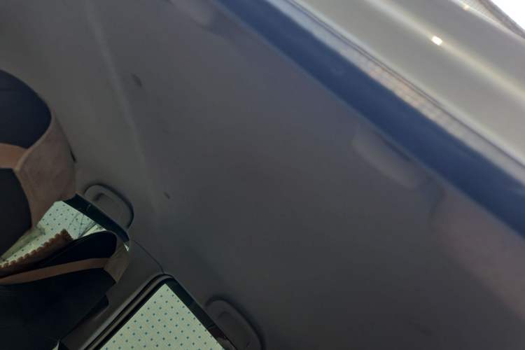 Used Suzuki Alto 2013 1.0L Manual Utility Model Headliner