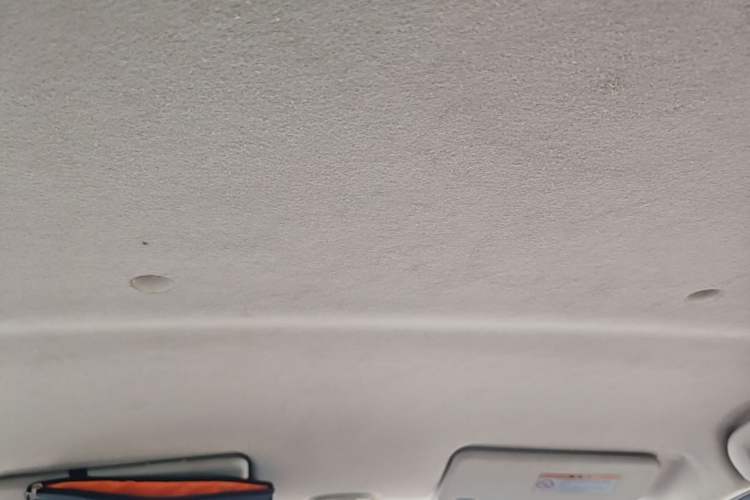 Used Suzuki Alto 2013 1.0L Automatic Luxury Model Headliner