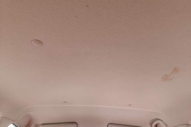 Used Suzuki Alto 2013 1.0L Automatic Luxury Model Headliner