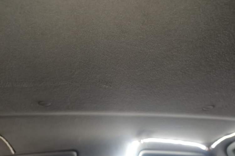 Used Suzuki Alto 2013 Revised Version 1.0L Manual Comfort Edition Headliner