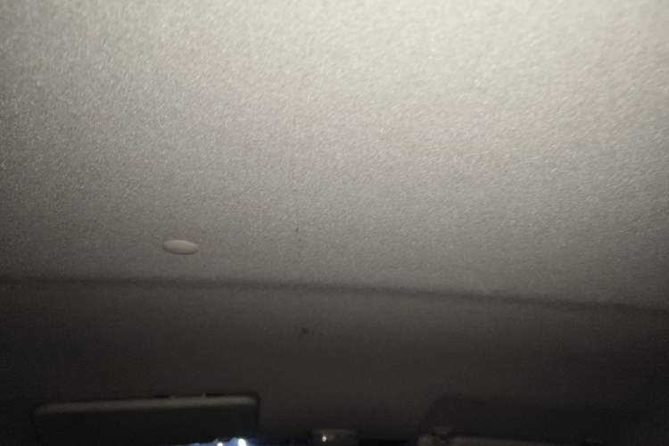 Used Suzuki Alto 2013 1.0L Manual Utility Model Headliner
