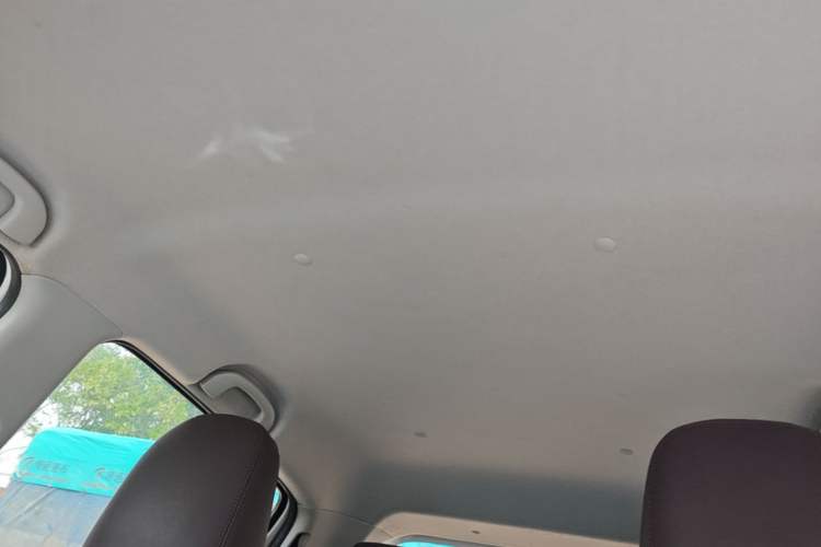 Used Suzuki Alto 2013 1.0L Automatic Luxury Model Headliner