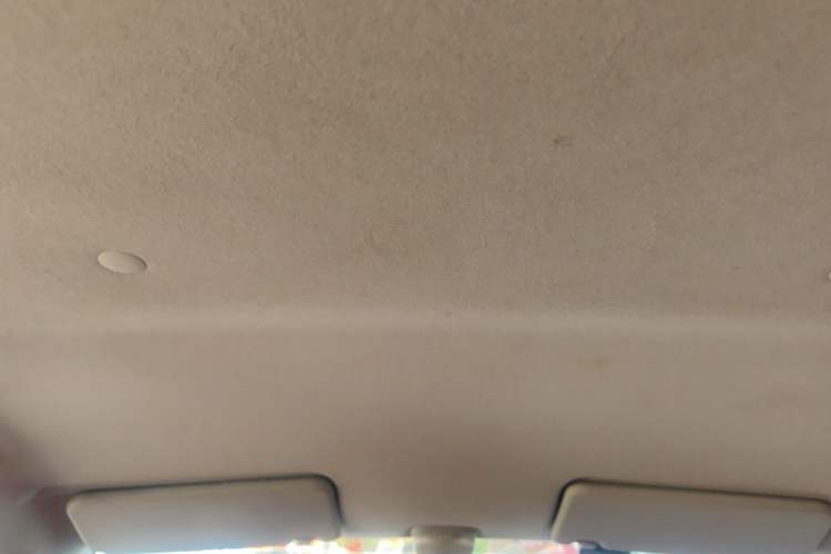 Used Suzuki Alto 2013 1.0L Manual Utility Model Headliner