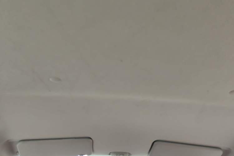 Used Suzuki Alto 2013 1.0L Manual Utility Model Headliner