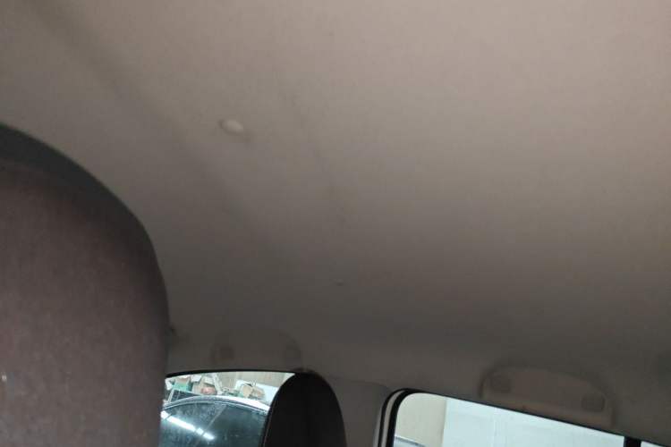 Used Suzuki Alto 2013 1.0L Manual Utility Model Headliner