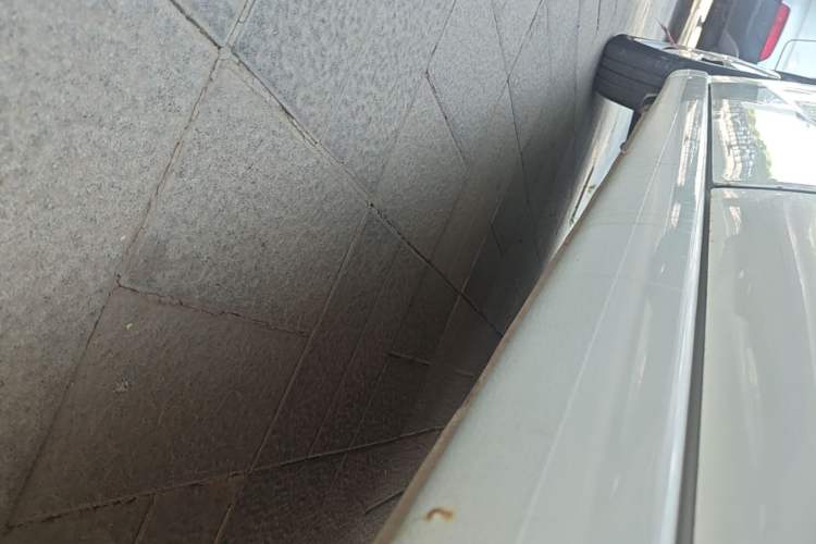 Used Suzuki Alto 2013 1.0L Manual Utility Model Left Side Sill