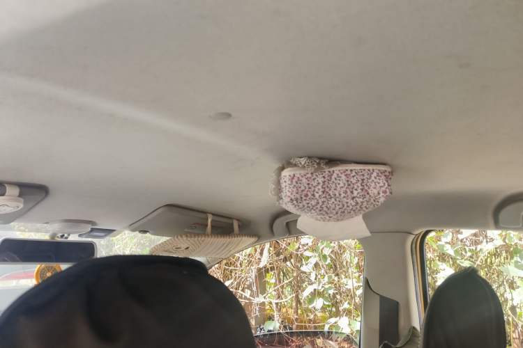 Used Suzuki Alto 2013 1.0L Automatic Luxury Model Headliner