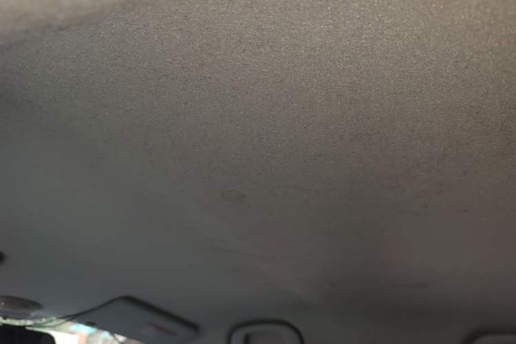 Used Suzuki Alto 2015 1.0L Manual Limited Edition Headliner
