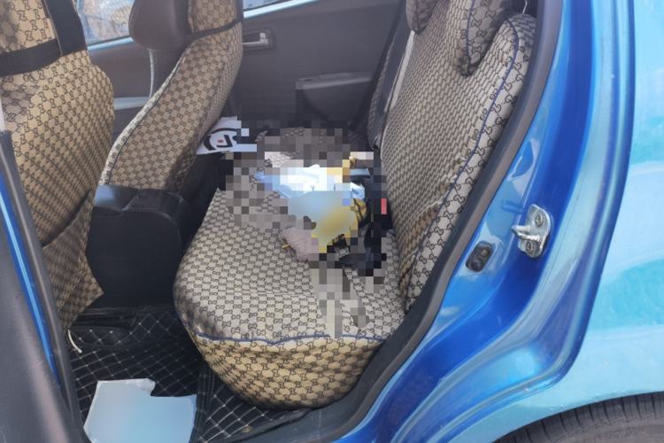 Used Suzuki Alto 2015 1.0L Automatic Limited Edition Left Rear Seat