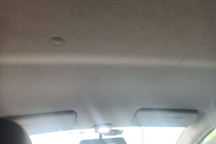 Used Suzuki Alto 2015 1.0L Manual Limited Edition Headliner