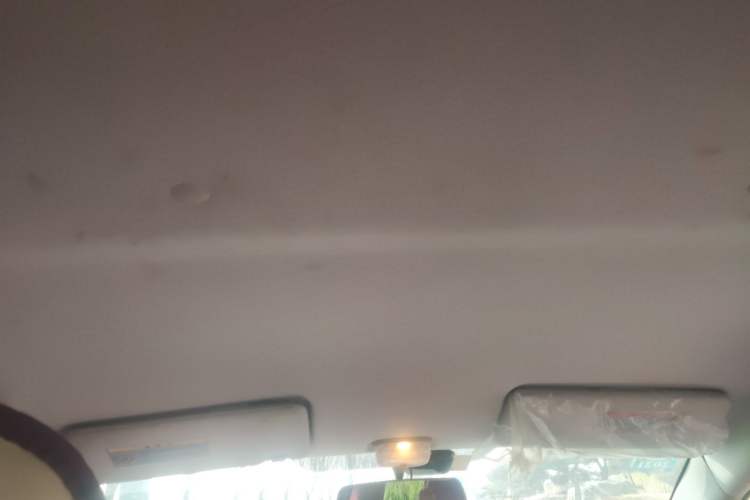 Used Suzuki Alto 2016 1.0L Automatic Deluxe Xuan Dong Edition Headliner