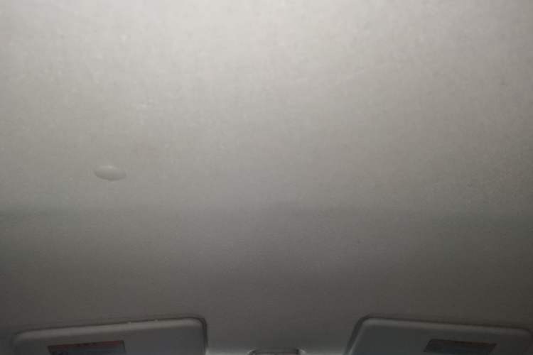 Used Suzuki Alto 2016 1.0L Automatic Deluxe Xuan Dong Edition Headliner