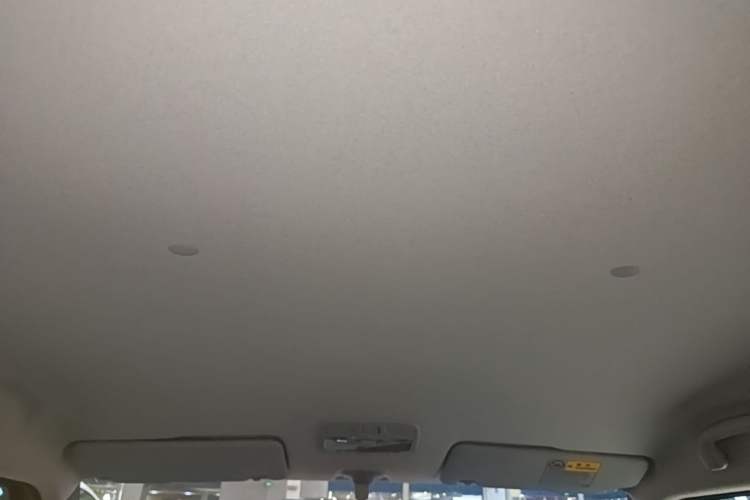 Used Suzuki Ignis 2017 1.2L CVT Luxury Edition Headliner