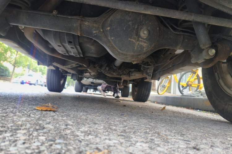 Used Suzuki Jimny 2012 1.3 AT JLX Navigation Edition Chassis Rear
