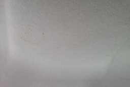 Thumbnail 19