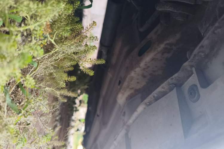 Used Suzuki Lingyang 2012 1.3L Standard Version Chassis Rear Right