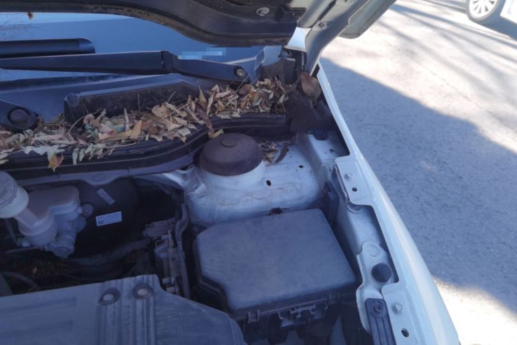 Used Suzuki S-Cross 2014 1.6L CVT Two-Wheel Drive Entry Model Engine Bay Left