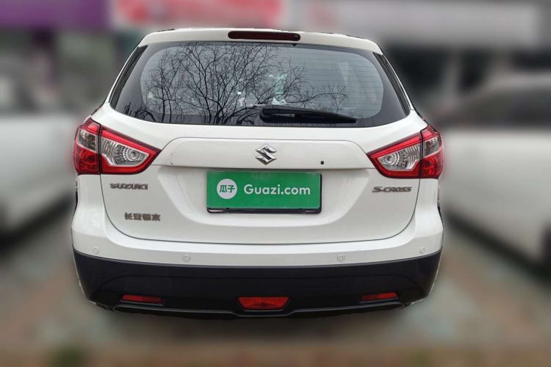 Used Suzuki S-Cross 2014 1.6L CVT Two-Wheel Drive Entry Model Rear