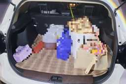 Thumbnail 20