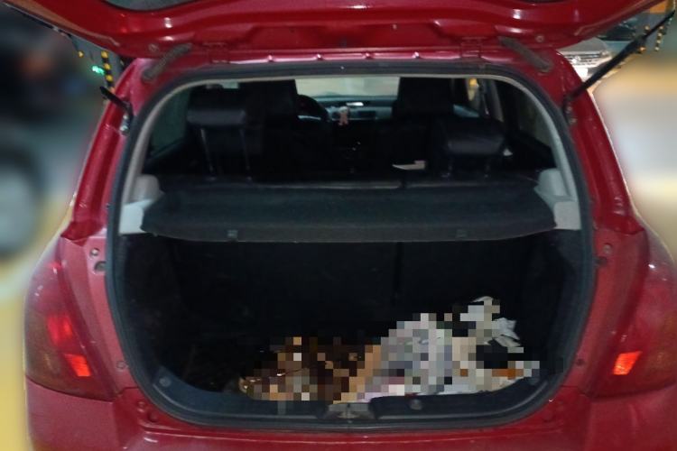 Used Suzuki Swift 2008 1.5L Automatic – Ultra-Stylish Xuanrui Edition Trunk