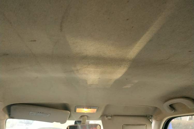 Used Suzuki Swift 2010 1.5L Automatic Champion Limited Edition Headliner