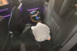 Thumbnail 18