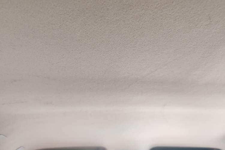 Used Suzuki Swift 2011 1.5L Automatic Sport Edition Headliner