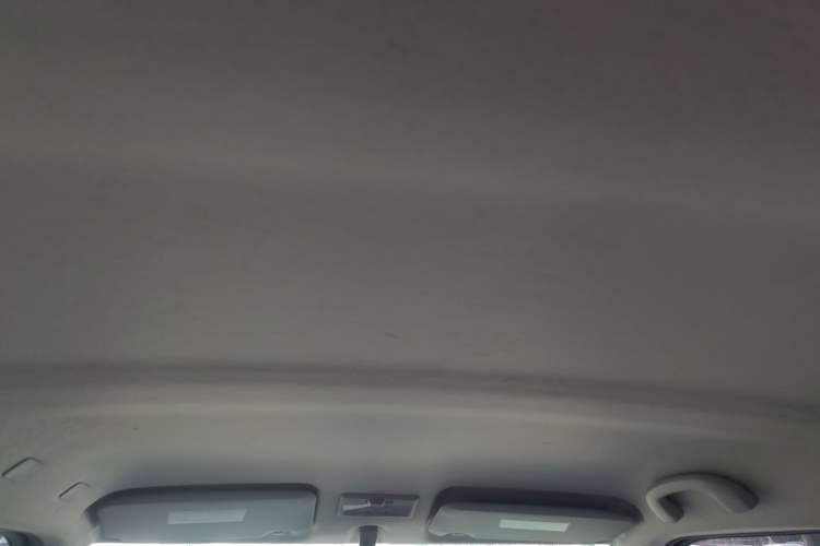 Used Suzuki Swift 2013 1.5L Automatic 20th Anniversary Limited Edition Headliner